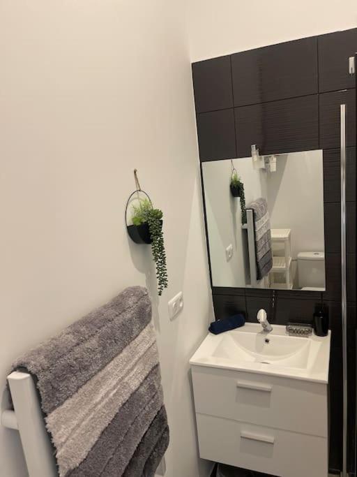 Joli Studio Maisonnette Avec Cachet Тулуза Екстериор снимка